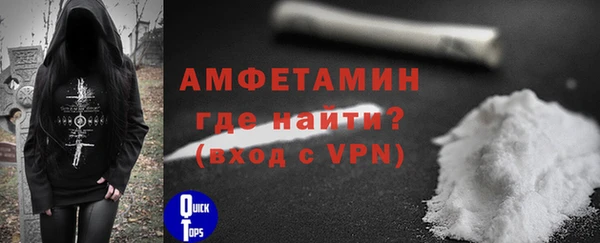 PSILOCYBIN Горняк