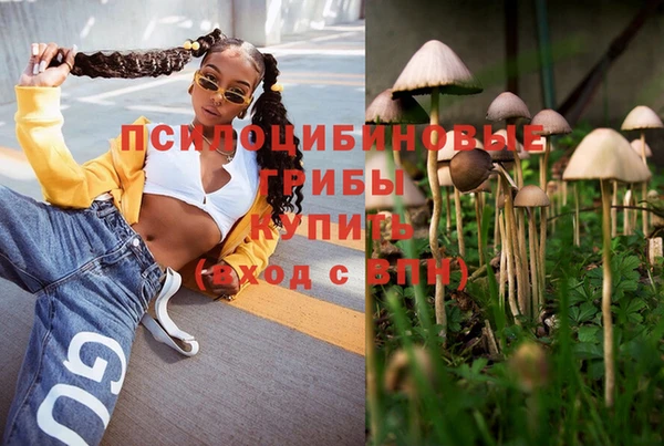 ECSTASY Шали