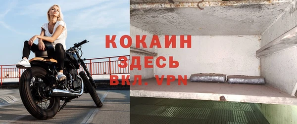 гидра Шадринск