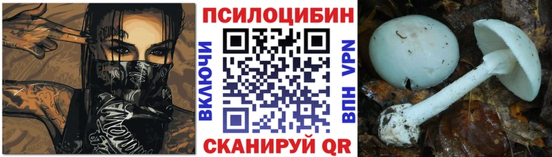 Галлюциногенные грибы Cubensis Зеленоградск